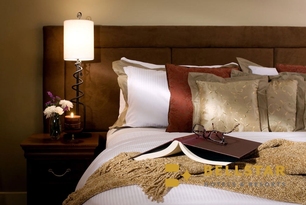 One Bedroom Suite - Photo 4