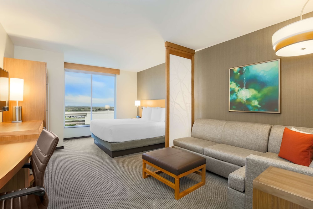 Suite, 1 King Bed with Sofa bed photo 3