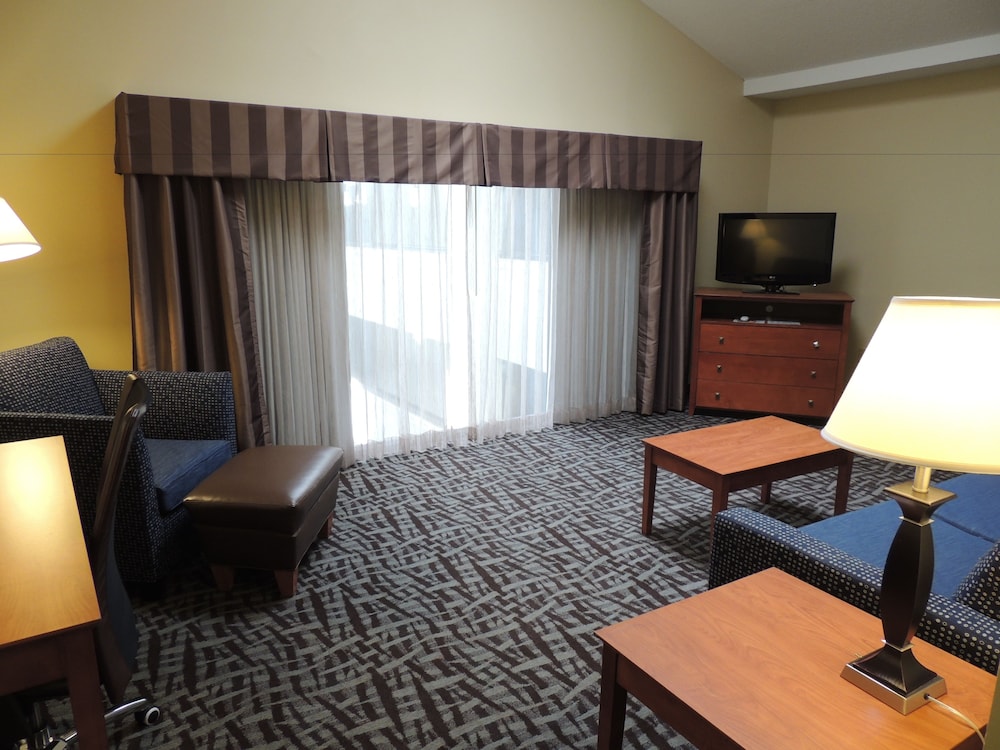 Suite, 1 Bedroom (Atrium View) photo 2