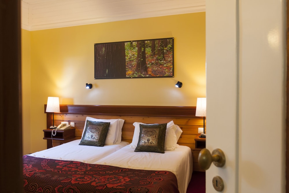 Suite - Photo 1
