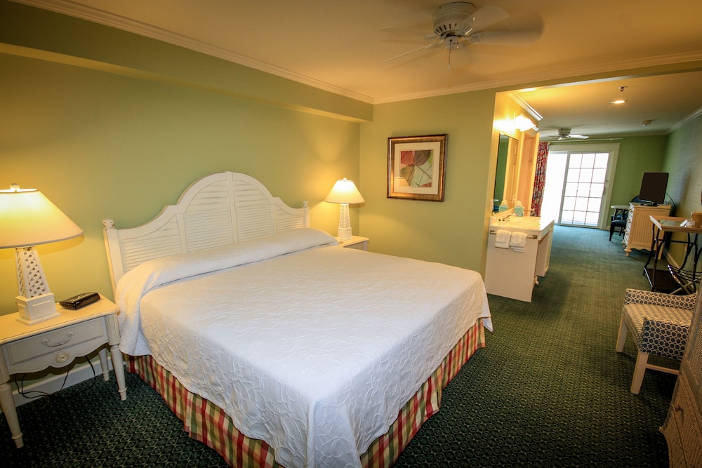 Room, 1 King Bed with Sofa bed photo 1