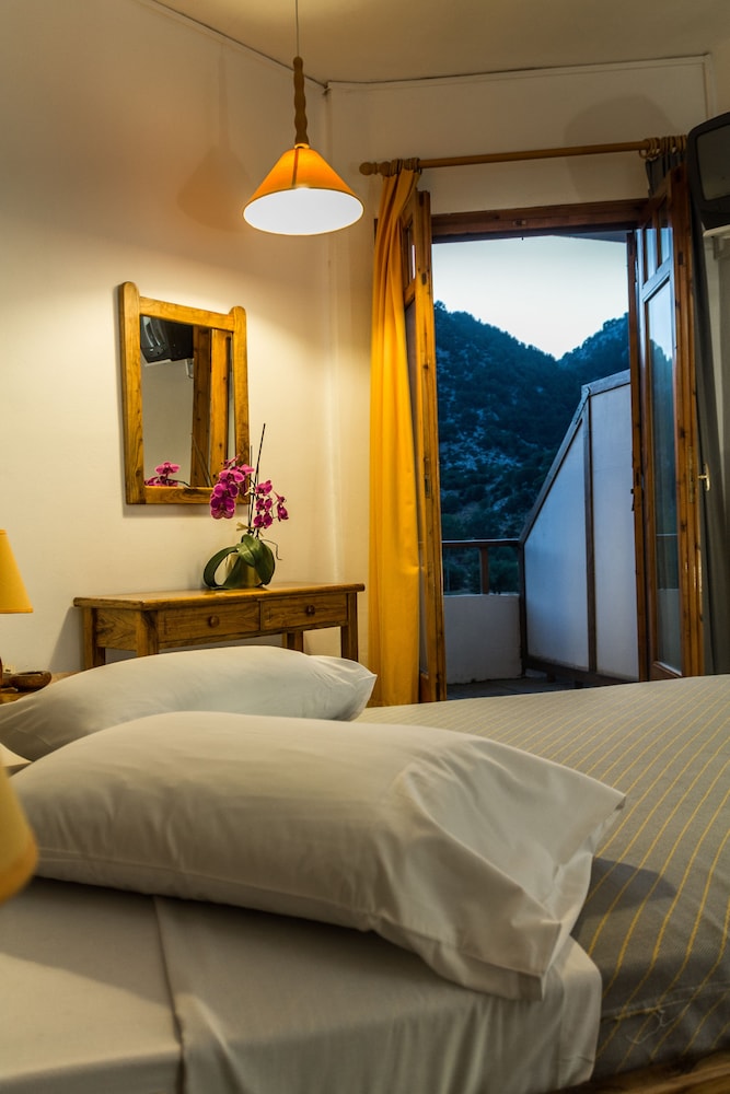 Single Room photo 1