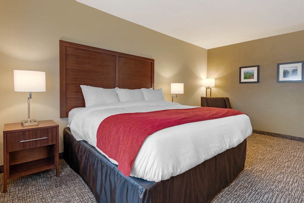 Suite, 1 King Bed, Accessible, Non Smoking - Photo 1
