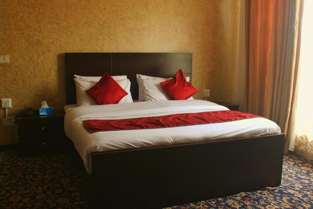 Deluxe Double or Twin Room photo 3