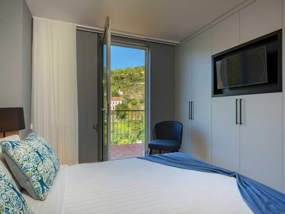 Deluxe Double or Twin Room photo 2