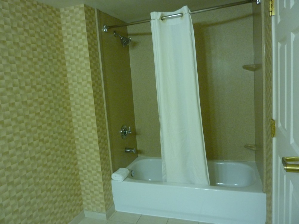 Deluxe Studio Suite, 1 King Bed with Sofa bed, Non Smoking - Photo 5
