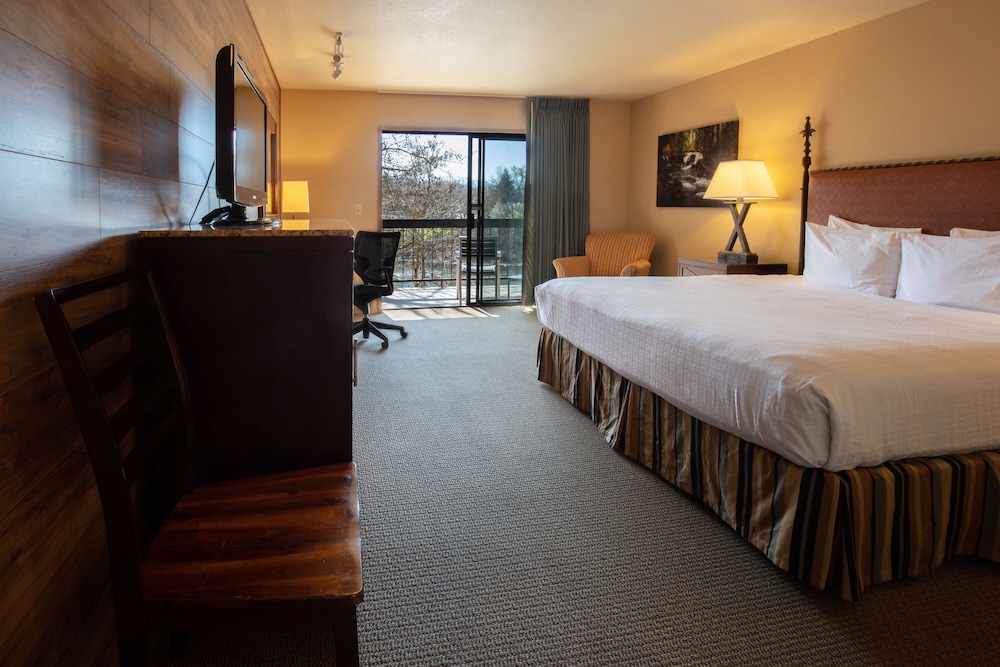 Dog Friendly King Room with Riverview
