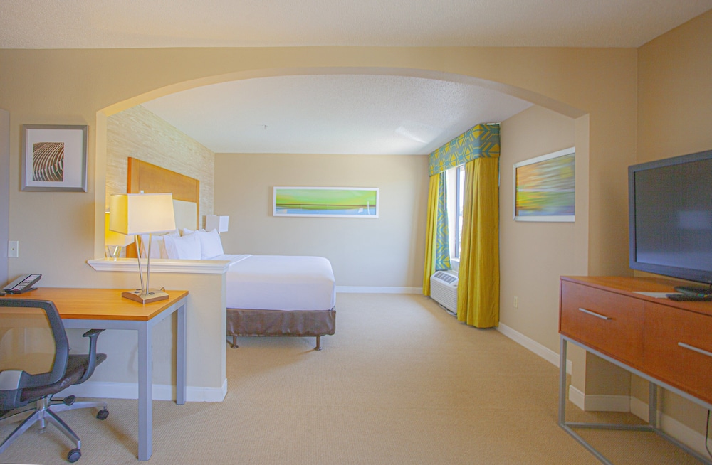 Suite, 1 King Bed - Photo 6