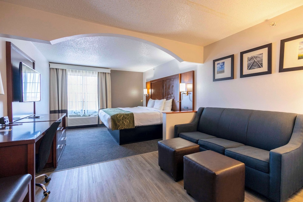 Suite, 1 King Bed, Non Smoking - Photo 15