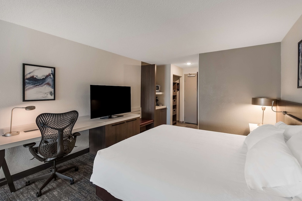 Deluxe Room, 1 King Bed (With Sleeper Sofa)