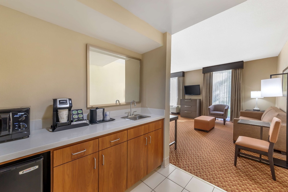 Standard Room, 1 King Bed, Accessible, Bathtub (with Sofabed)