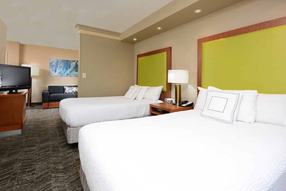 Studio, Multiple Beds (Hearing Accessible) photo 1