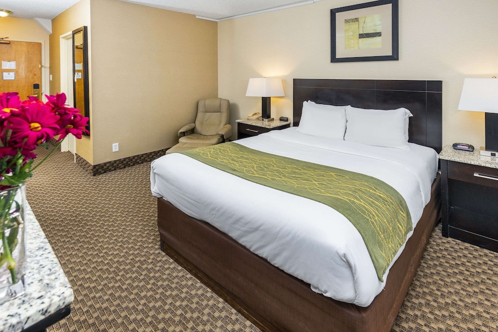 Standard Room, 1 Queen Bed, Non Smoking - Photo 1