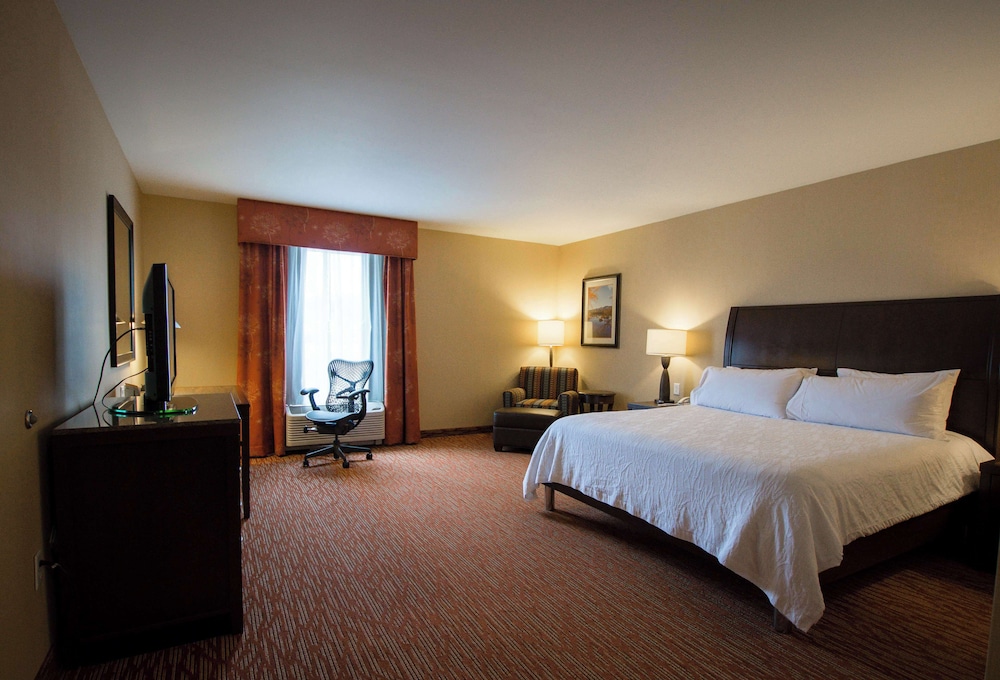 Room, 1 King Bed, Accessible (Mobility & Hearing, Roll-In Shower) photo 1
