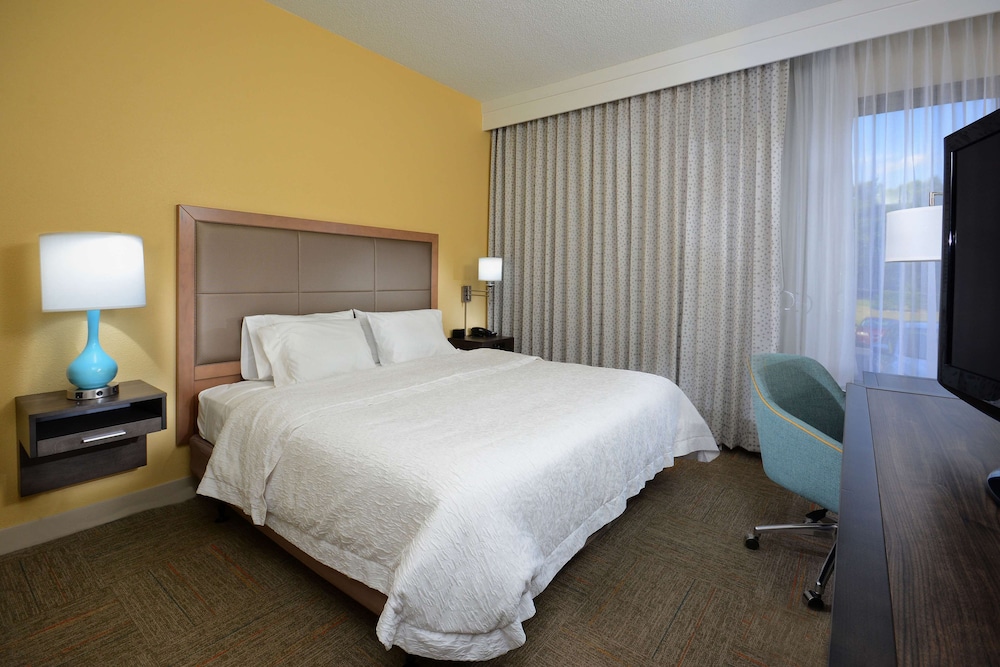 Room, 1 King Bed (Roll-In Shower) - Photo 2