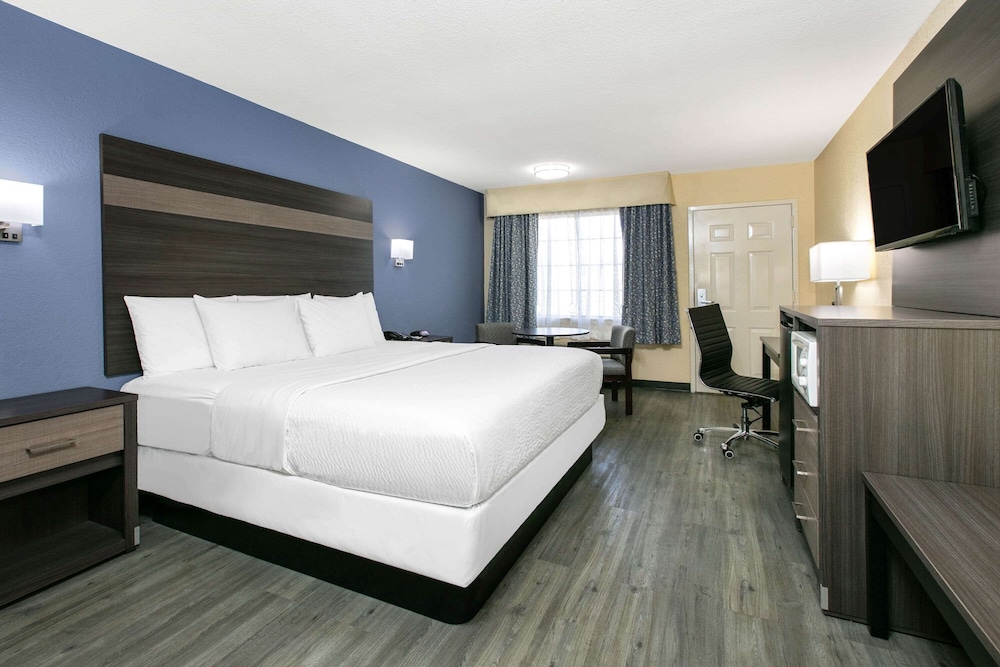 Room, 1 King Bed, Accessible, Non Smoking (Mobility, Roll-In-Shower) - Photo 5