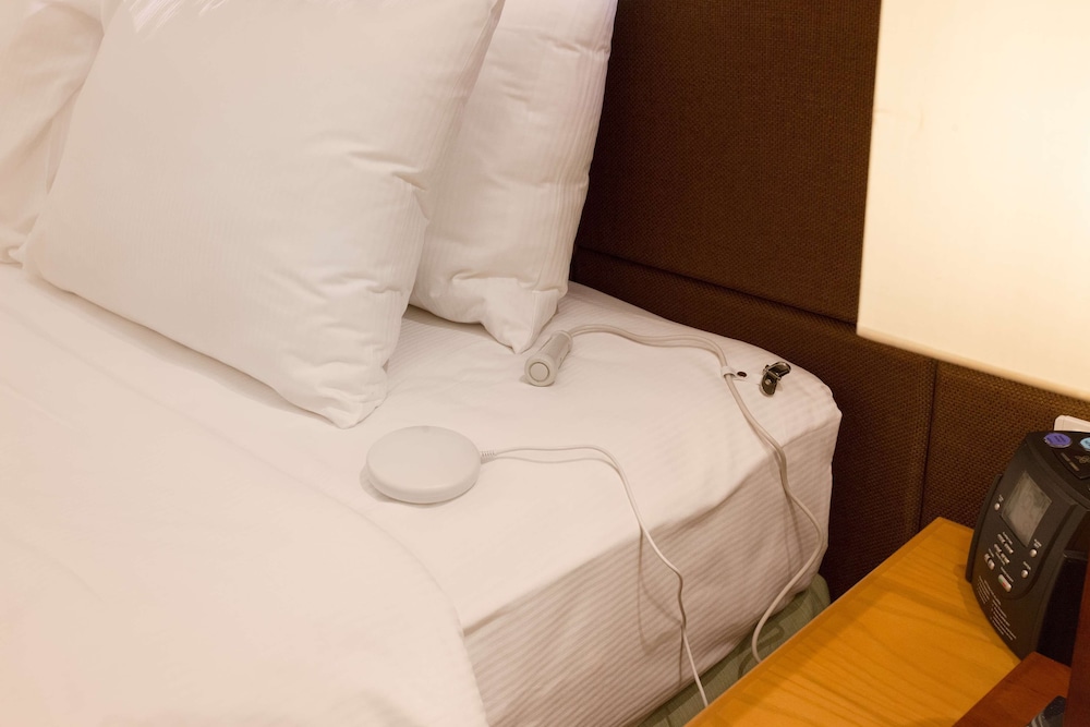 Room, 1 King Bed, Accessible - Photo 4