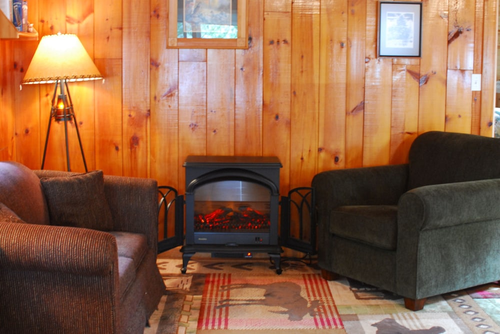 Cabin, 2 Bedrooms, Kitchen, Lake View (Cabin 3) photo 1