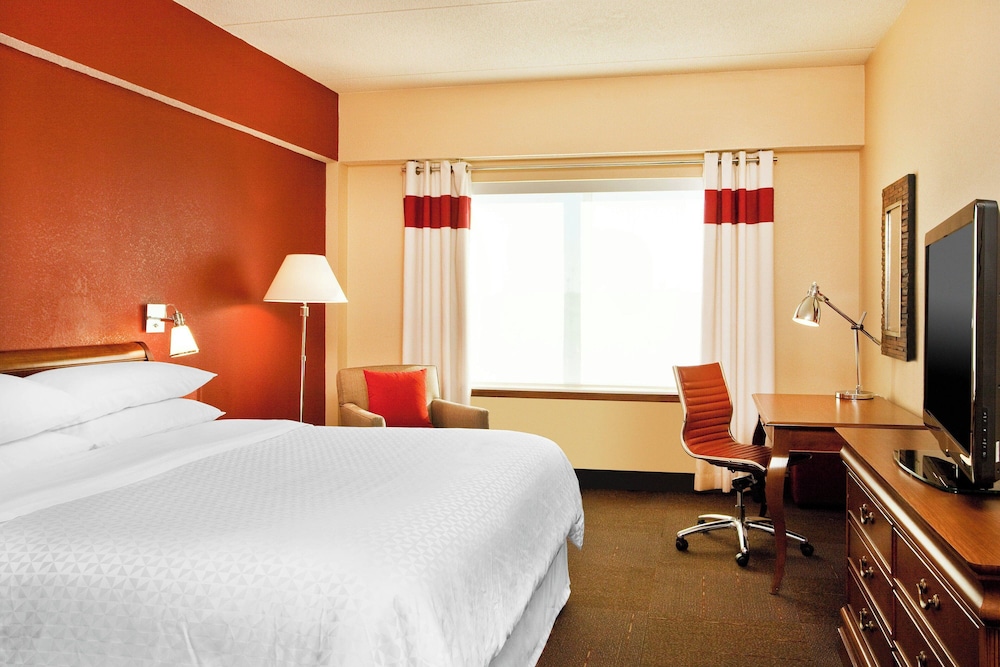 Suite, 1 Bedroom - Photo 6
