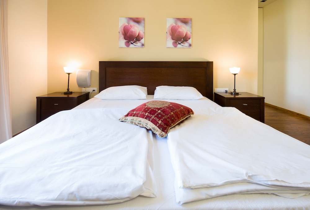 Business Double Room photo 1
