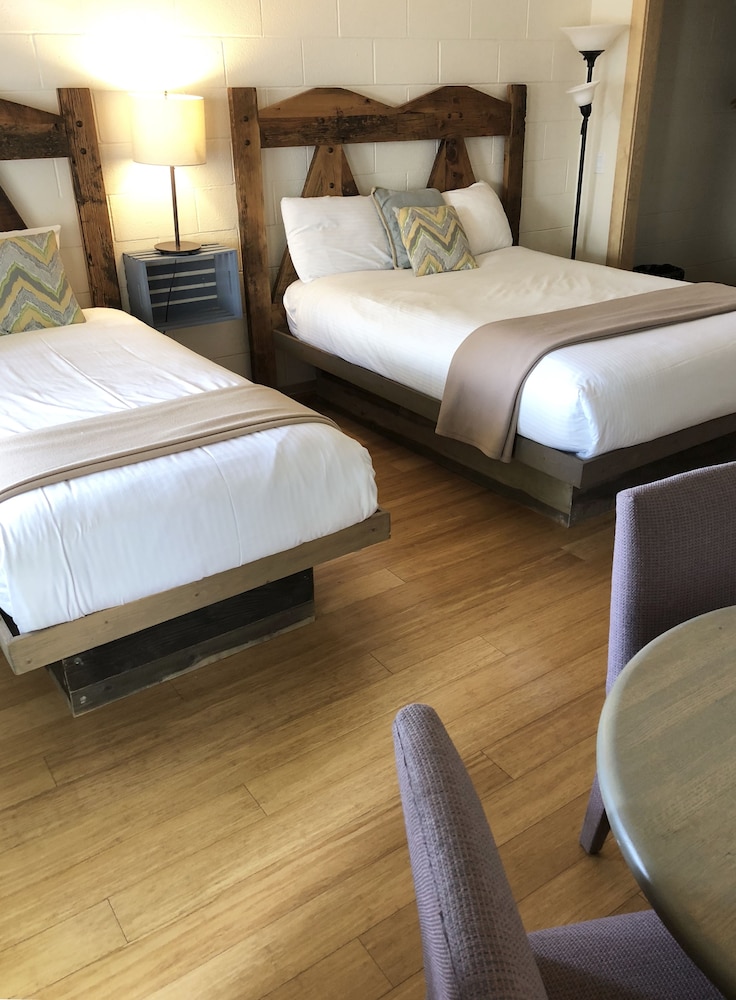 Standard Room, Multiple Beds photo 1