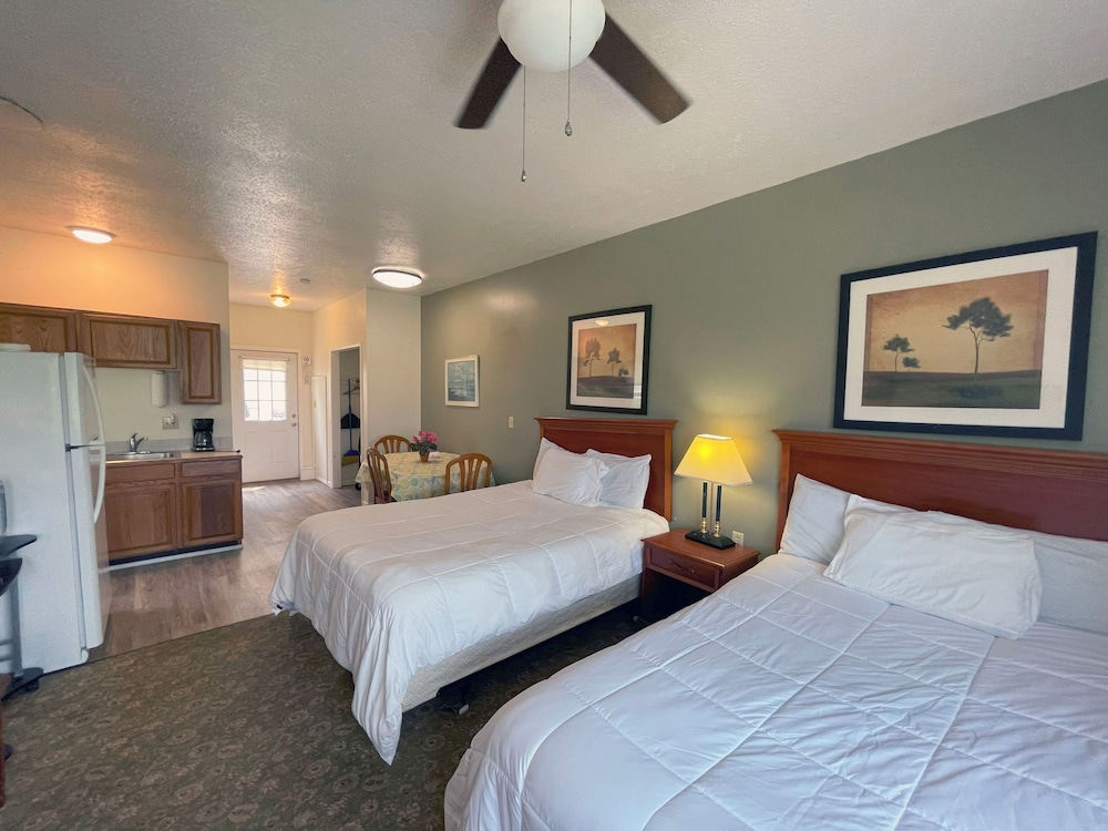 1 Bedroom Suite photo 1