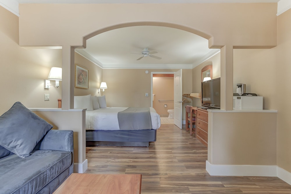 Exclusive Suite, 1 King Bed photo 2