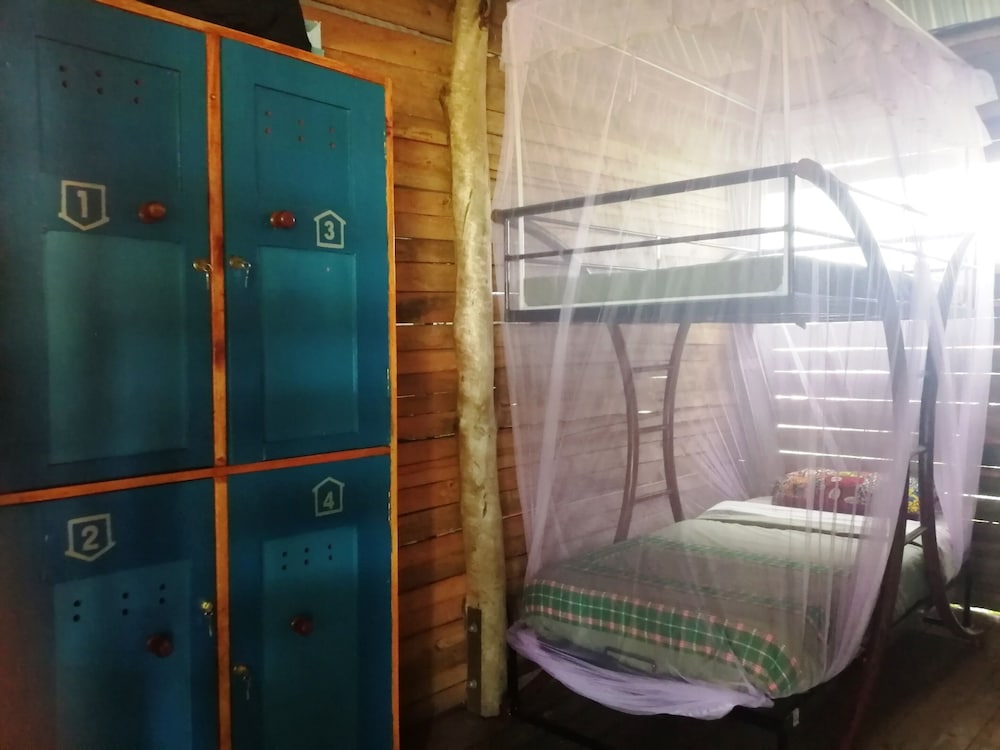Shared Dormitory (Girls/Boys) photo 1