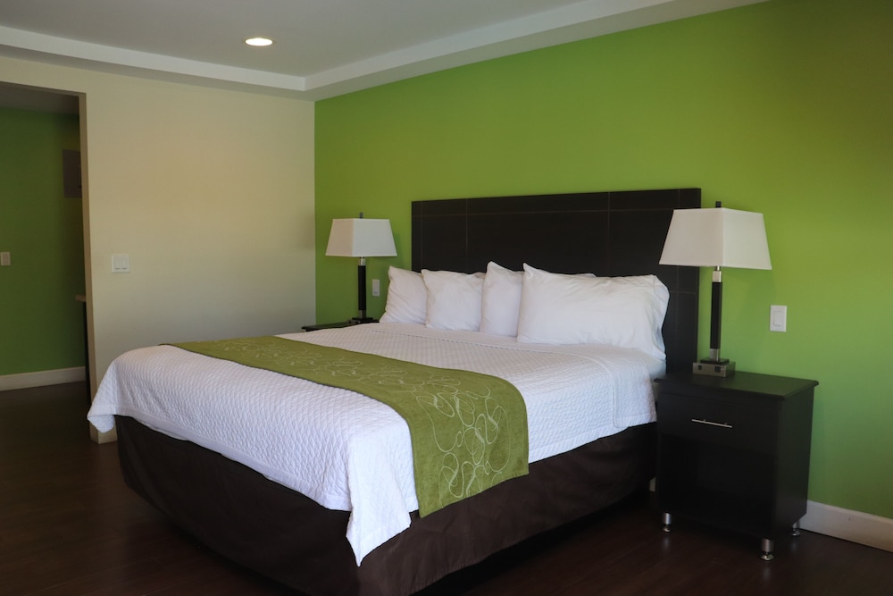 Standard Room photo 3