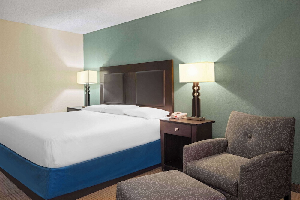 Room, 1 King Bed, Mobility Accessible, Non Smoking (Roll-in Shower) photo 1