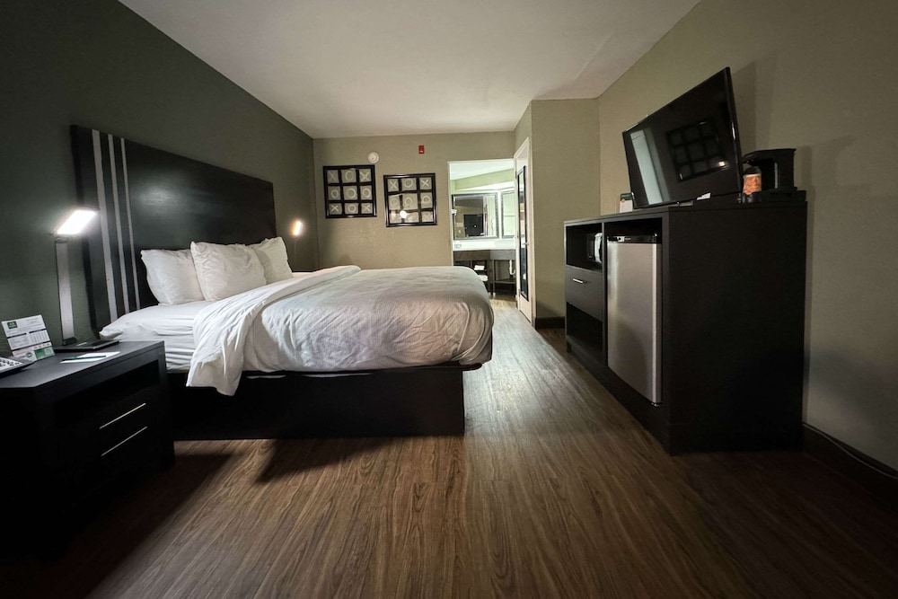 Room, 1 King Bed, Accessible, Non Smoking - Photo 4