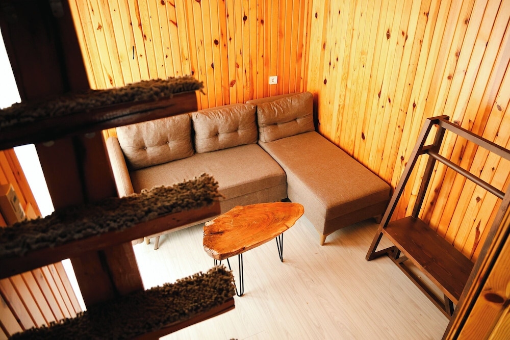 Superior Chalet, Patio photo 3