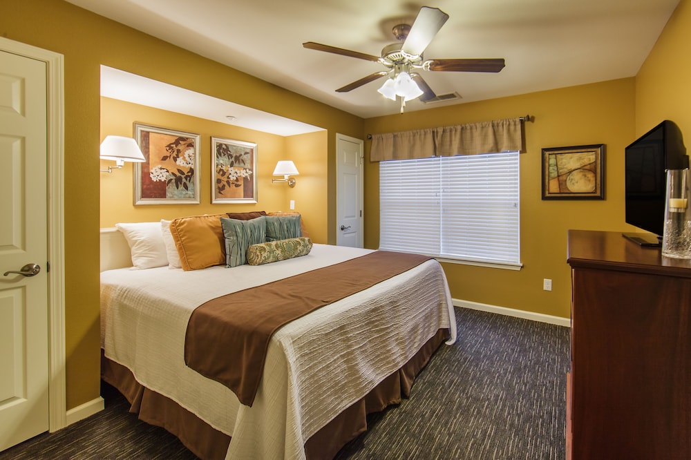 Standard Room, 1 Bedroom photo 3