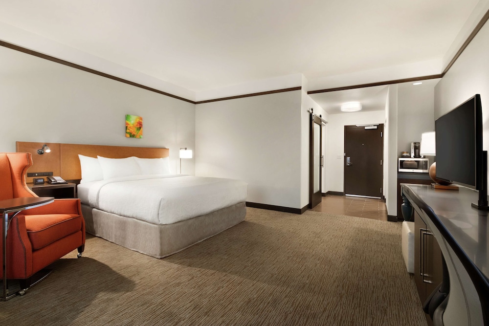 Room, 1 King Bed, Accessible, Non Smoking (mob/hearing acc w/ roll-in shower) photo 2