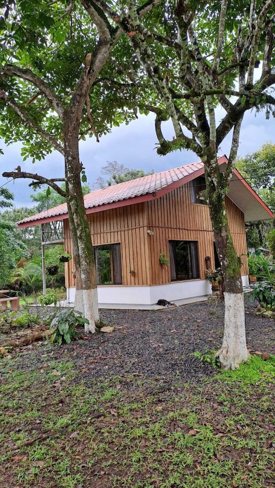 Standard Cabin photo 1