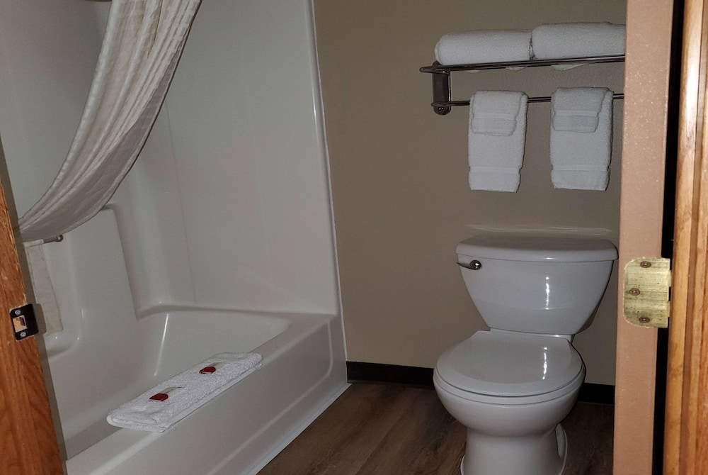 Studio Suite, Multiple Beds, Non Smoking - Photo 6