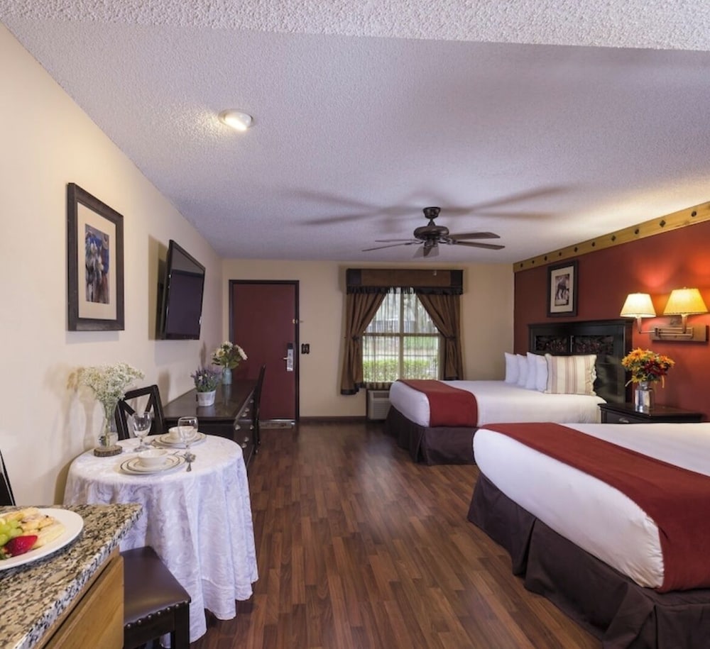 Basic Studio Suite