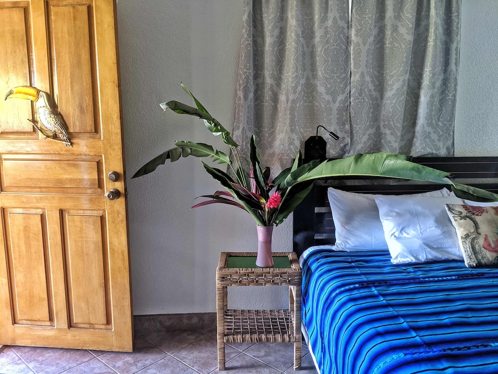 Toucan Suite photo 1