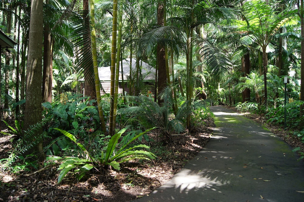 Luxury Suite, 1 Bedroom, Balcony (Rainforest Luxury Villa) photo 1