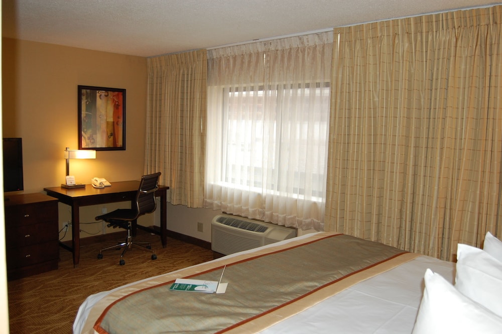 Suite, 1 King Bed