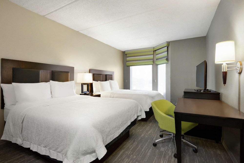 2 Queens Suite w/Sofabed & Kitchenette photo 3