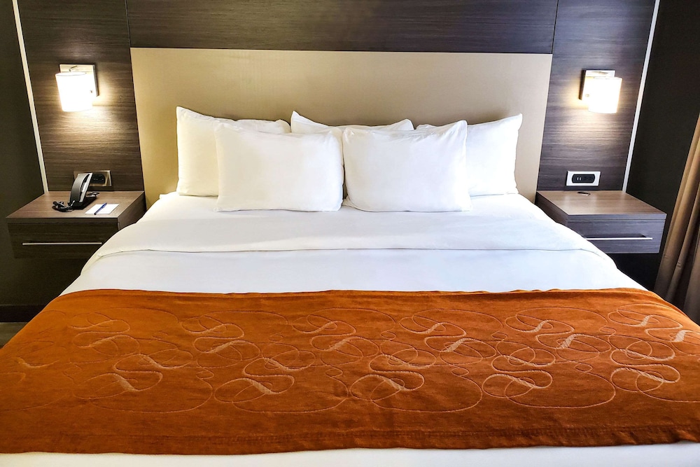 Business Suite, 1 King Bed, Accessible, Non Smoking - Photo 6