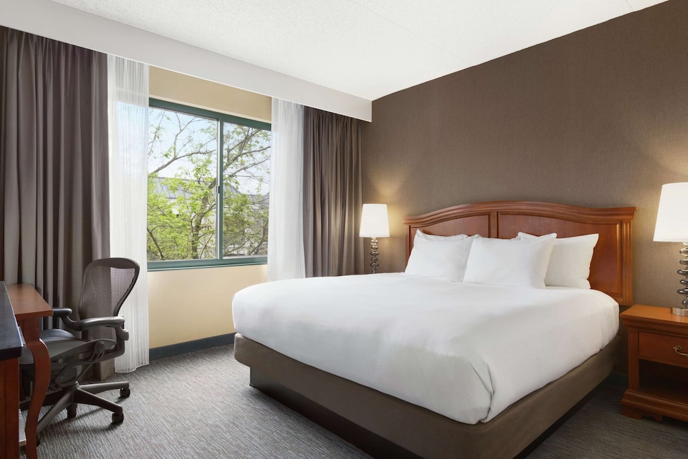 Junior Suite, 1 King Bed photo 1
