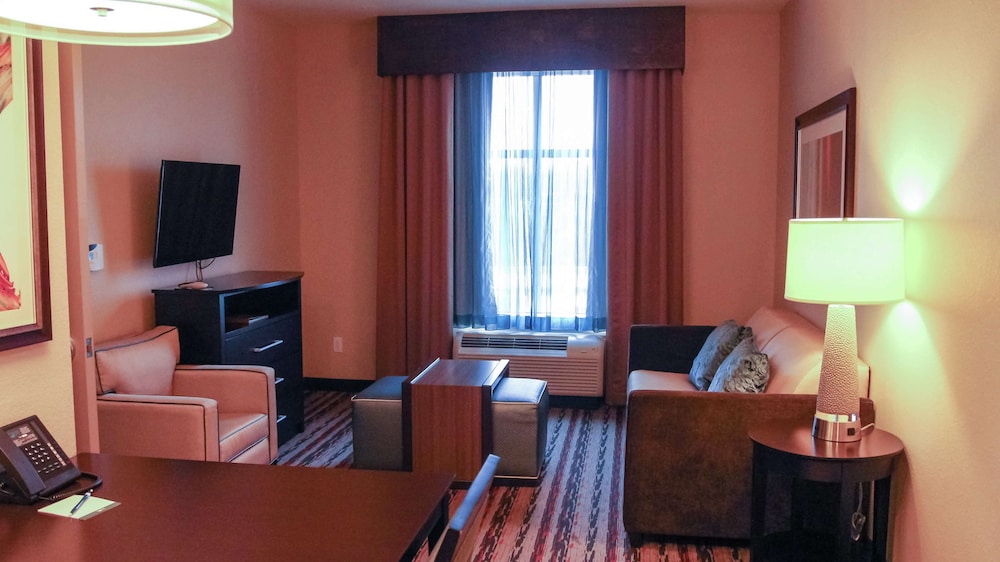 King Suite, Suite, 1 King Bed, Non Smoking photo 3