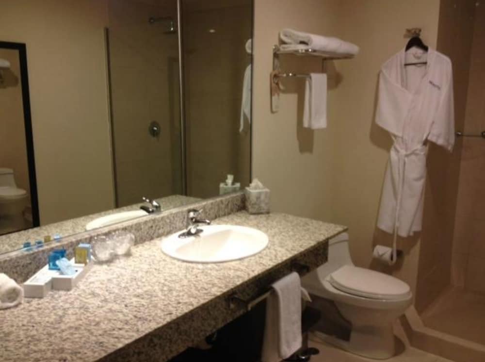 Superior Suite, 1 King Bed thumbnail 5