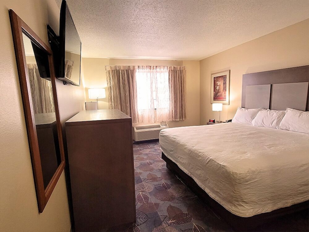 Room, 1 King Bed (Stardust) photo 3