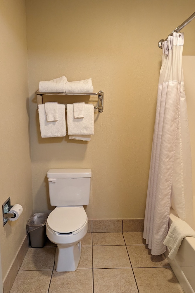 Standard Suite, 1 King Bed with Sofa bed, Refrigerator & Microwave (Waterpark Hours Vary) - Photo 4
