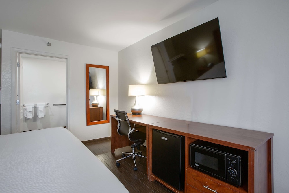 Standard Room, 1 King Bed, Accessible, Non Smoking (with Sofabed) - Photo 3
