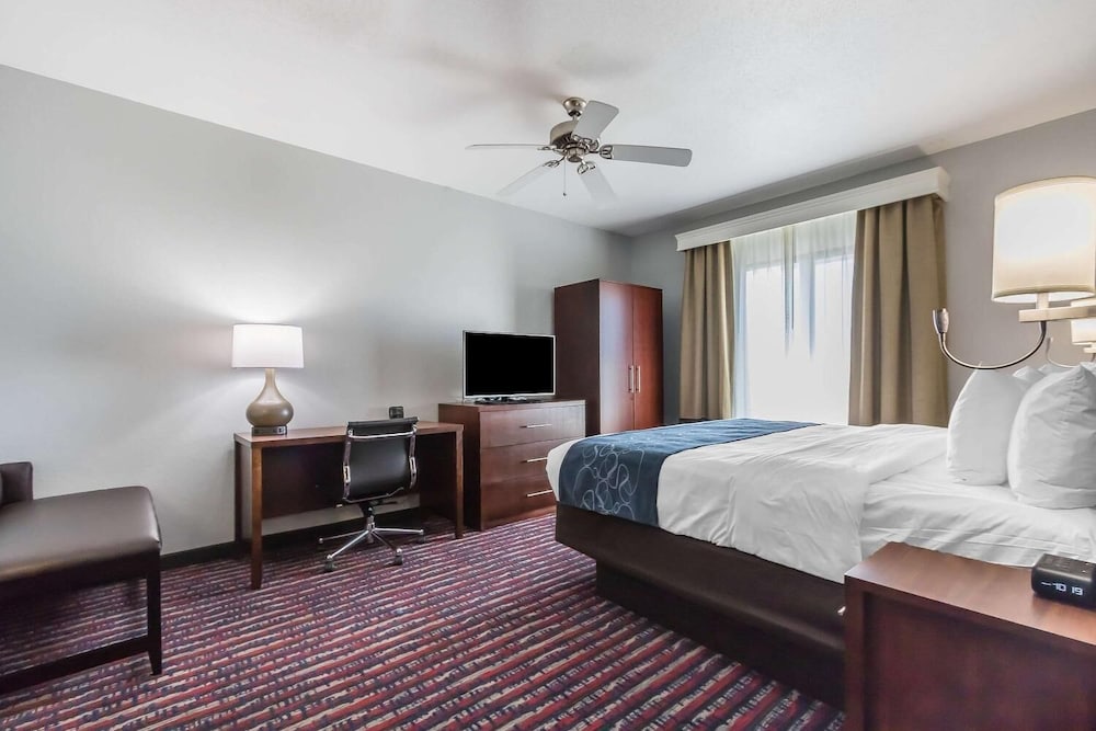 Suite, 1 King Bed, Non Smoking - Photo 3