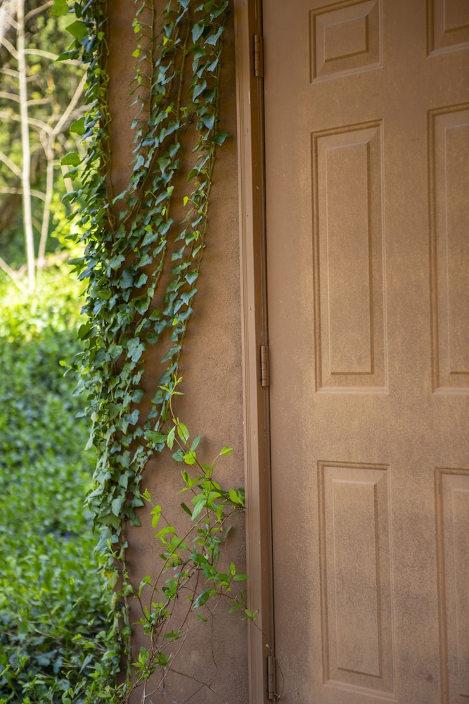 Riverside Family Apartment, 1 Queen Bed, River View photo 2